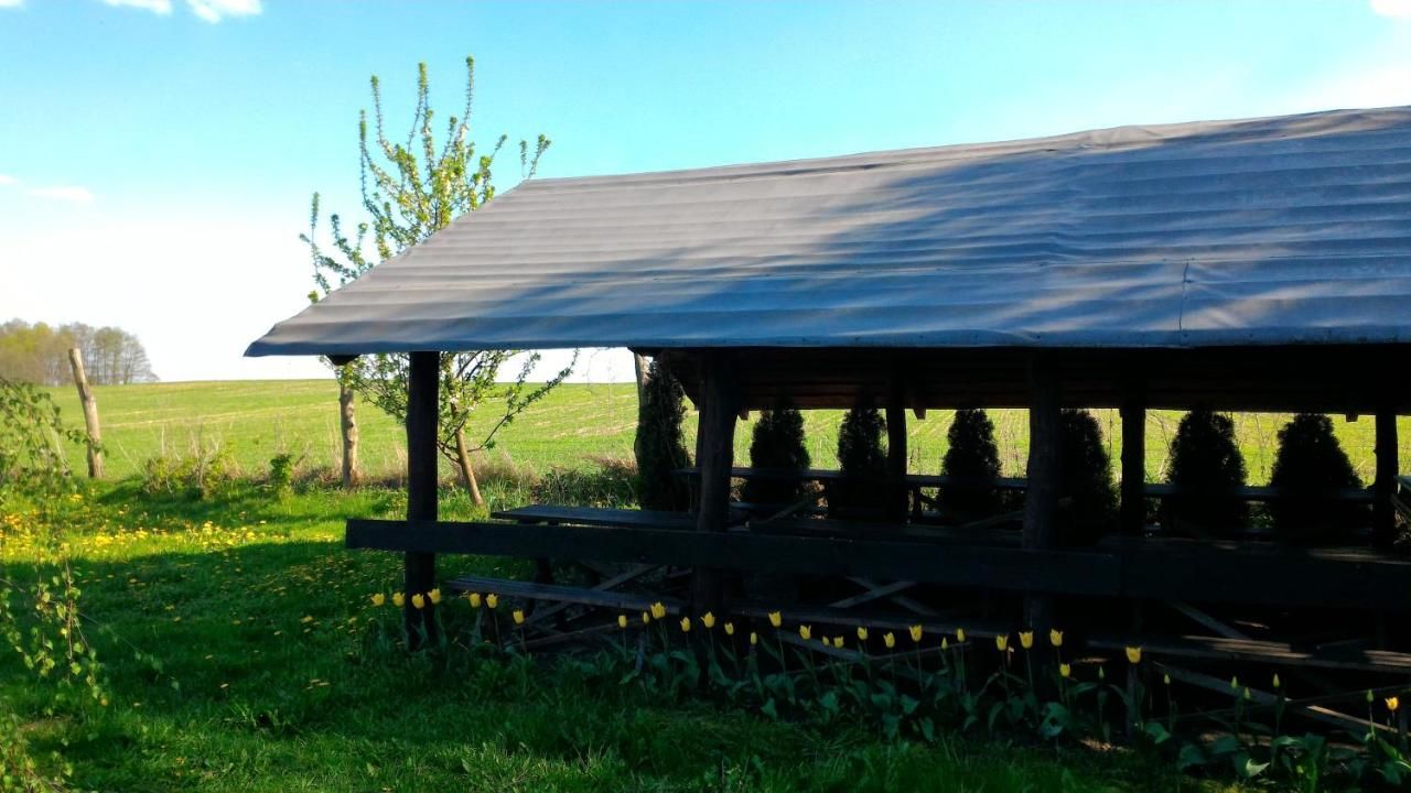 Фермерские дома Farma Bartolini Piaseczno